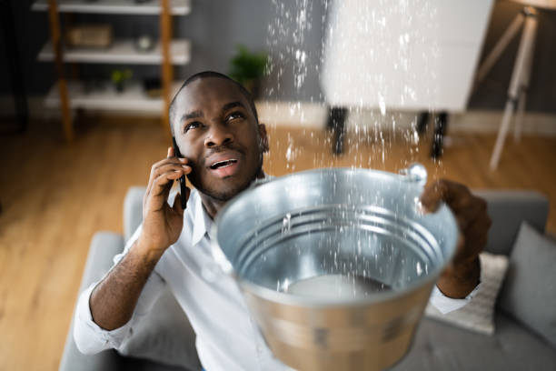 Best Ceiling water damage repair  in New London, IA