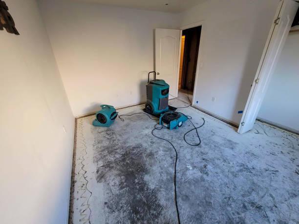 Best Basement water damage restoration  in New London, IA