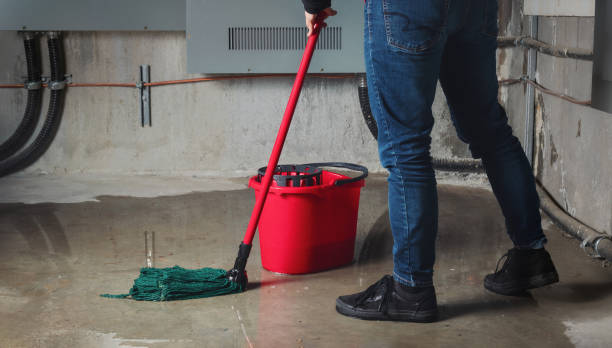 Best Commercial water damage restoration  in New London, IA