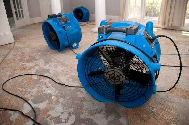 Best Fire Damage Restoration  in New London, IA