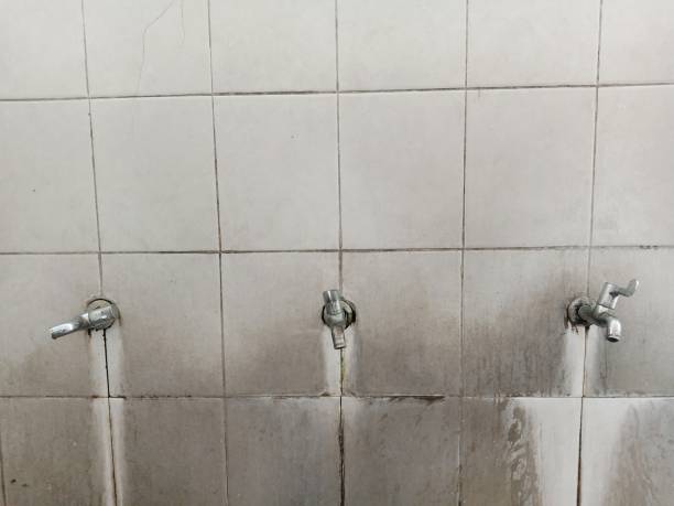 Best Water damage restoration company  in New London, IA