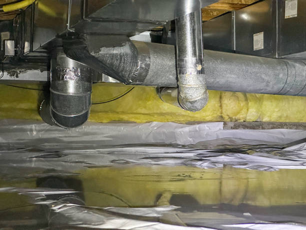Best Flood damage cleanup  in New London, IA