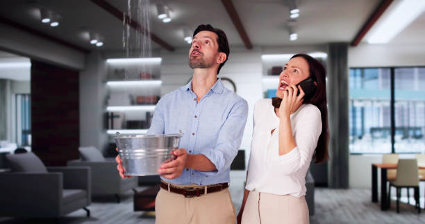 Best 24/7 water damage repair  in New London, IA