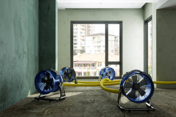 Best Commercial water damage restoration  in New London, IA